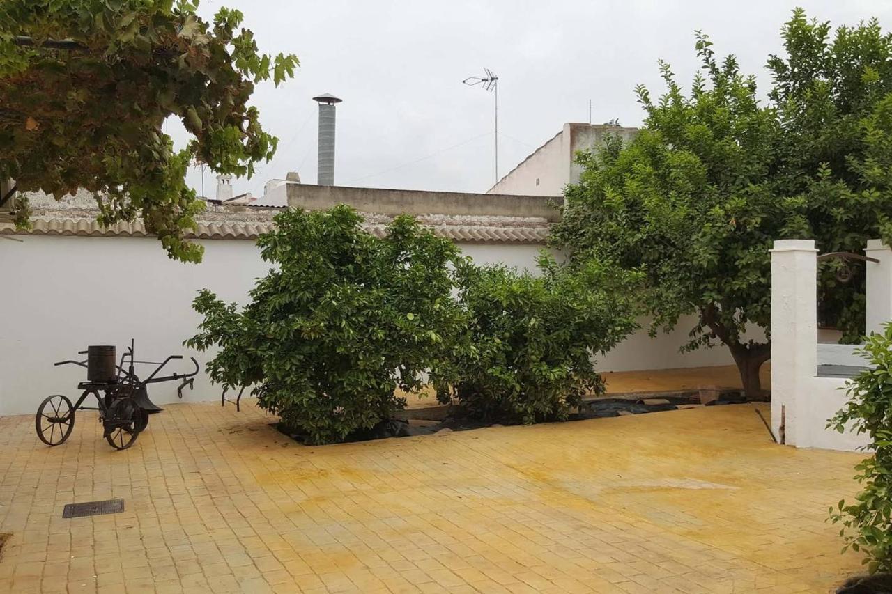 Gran Casa Rural Con Patio En Encinarejo De Cordoba Εξωτερικό φωτογραφία
