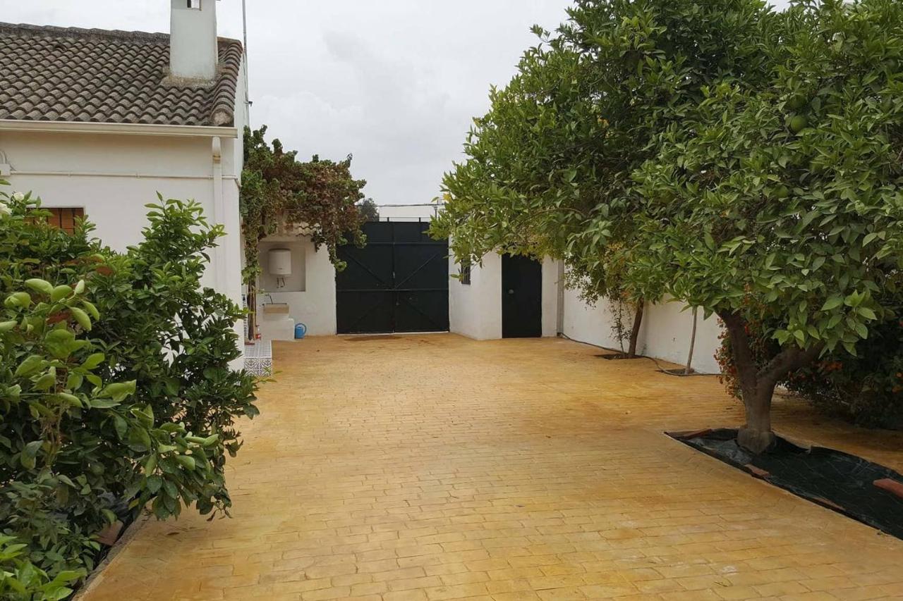 Gran Casa Rural Con Patio En Encinarejo De Cordoba Εξωτερικό φωτογραφία